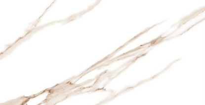 PLATINUM 25X40 REC ARIANA GOLD